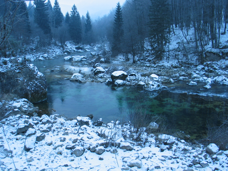 Sava Bohinjka - kis folyó nagy halakkal